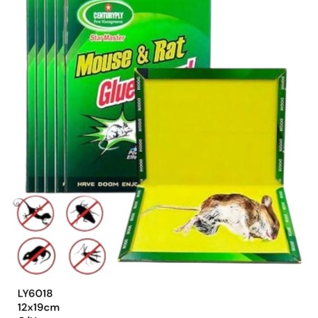 ATRAPA RATA 12X19 C/U